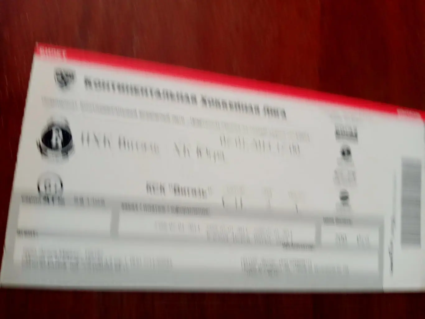 Витязь - Югра. 7 января 2014 год