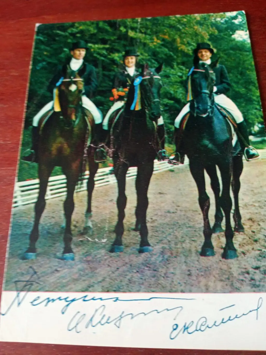 Конный спорт, сборная - Иван Калита, Елена Петушкова, Иван Кизимов