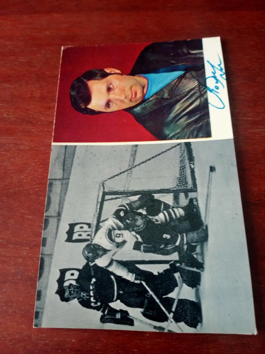 Виктор Полупанов