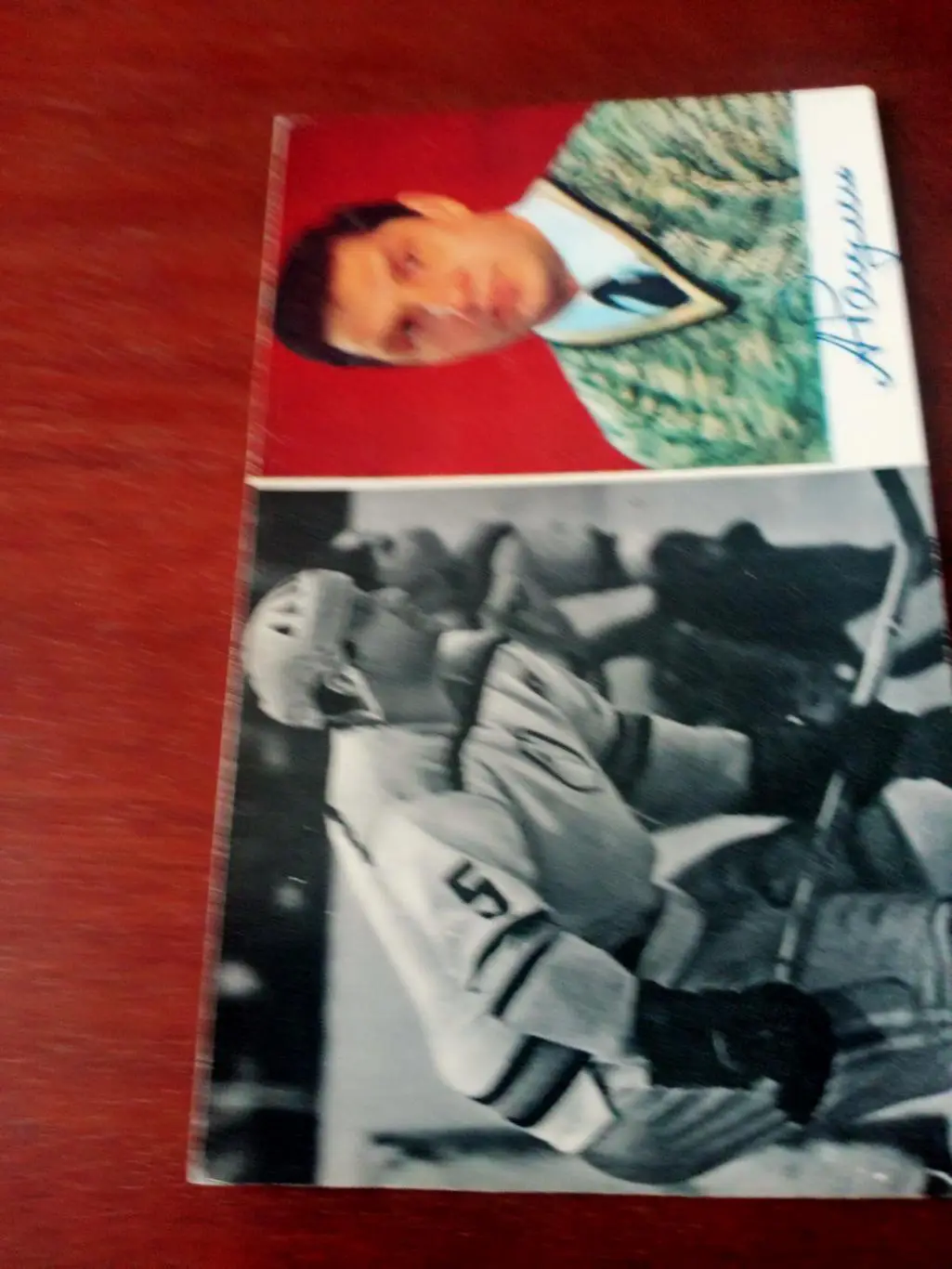 Александр Рагулин