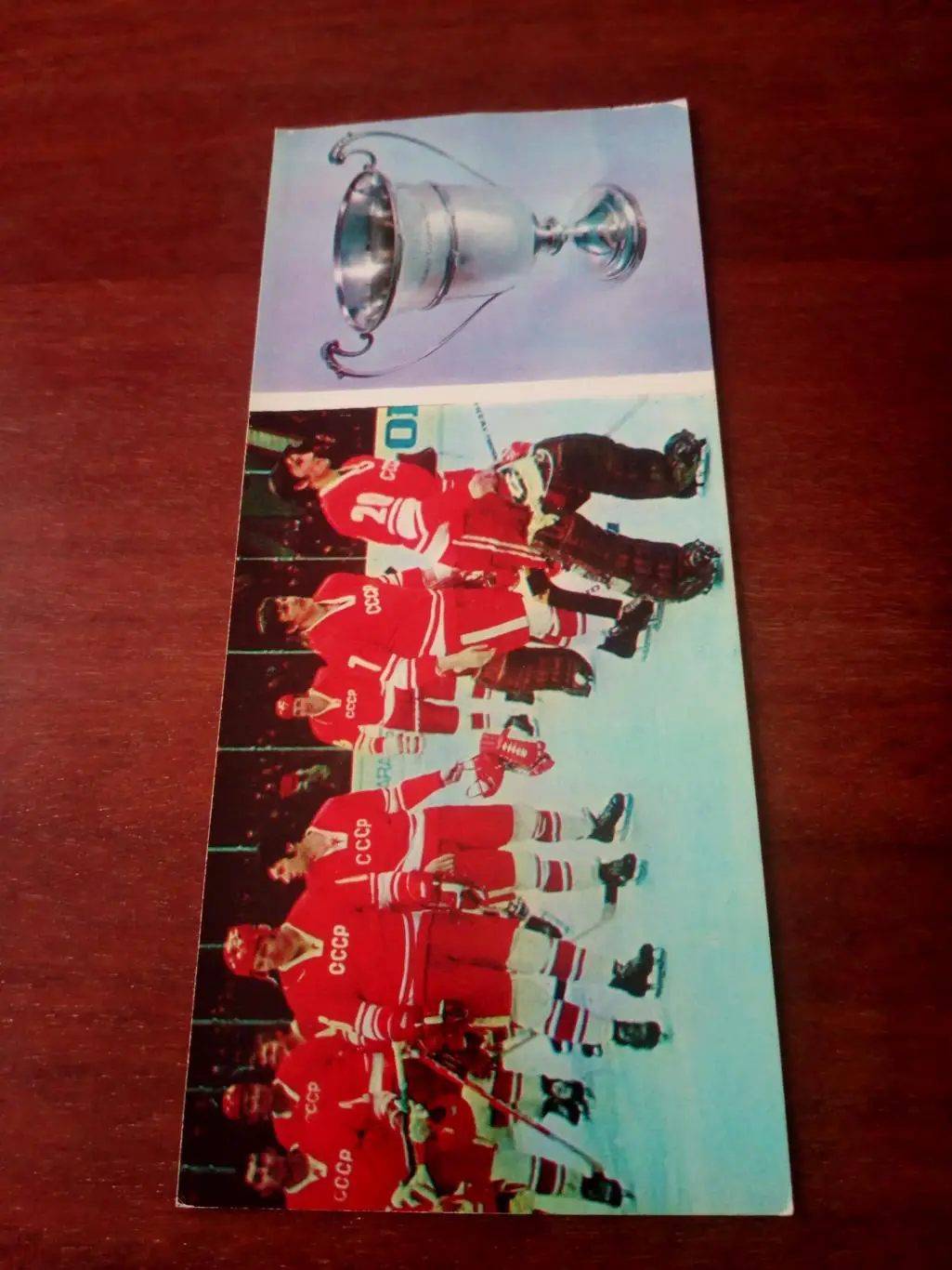 ЧМ-73. Круг почёта нашей дружиной