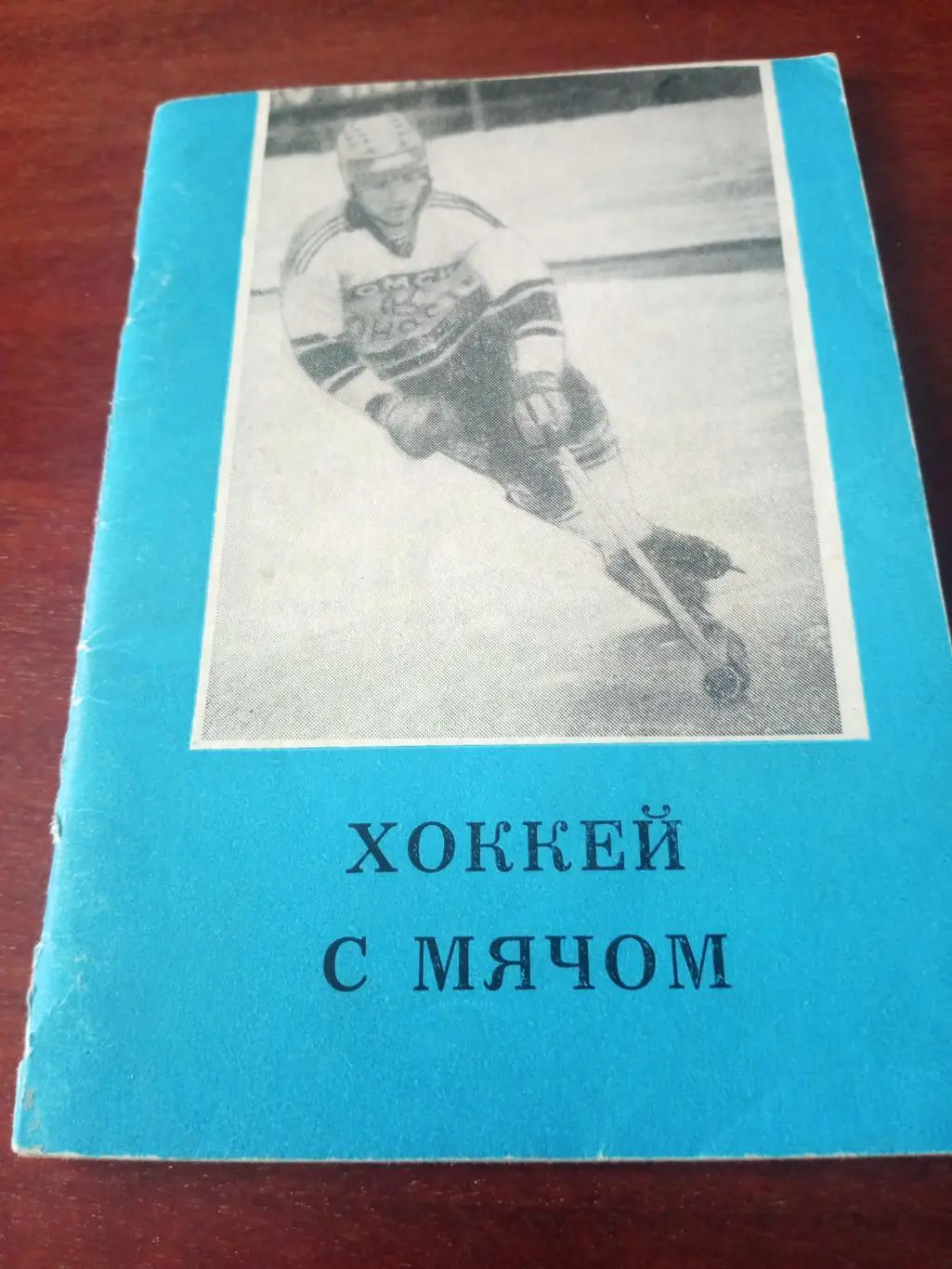 Хоккей с мячом. Омск. 1987/1988 гг