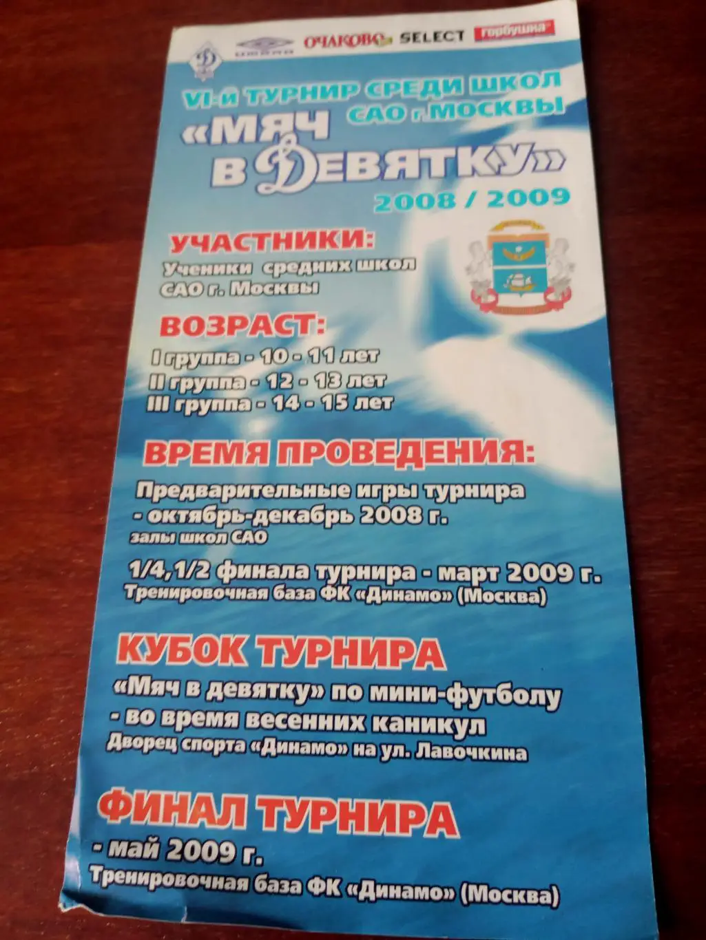 Турнир Мяч в девятку - 2008/2009 гг