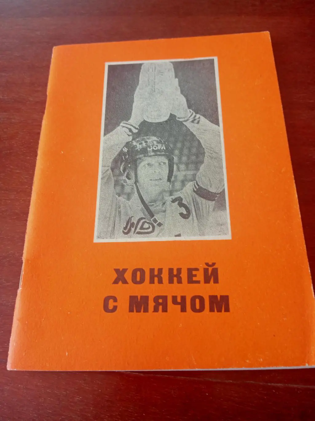 Хоккей с мячом. Омск-1989/1990