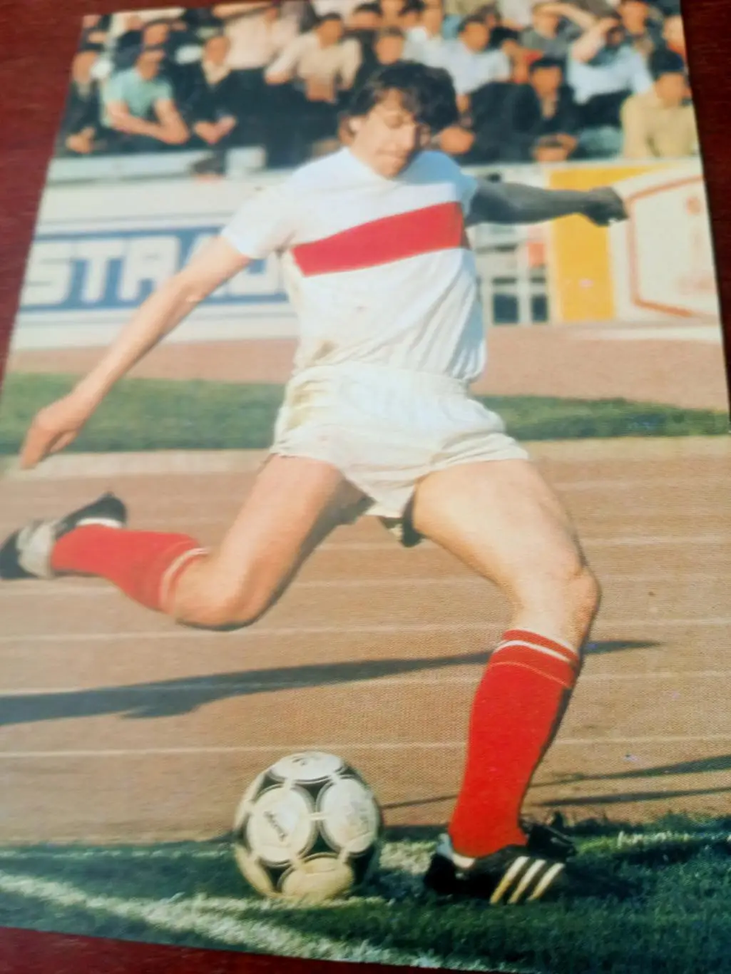 Владимир Сочнов