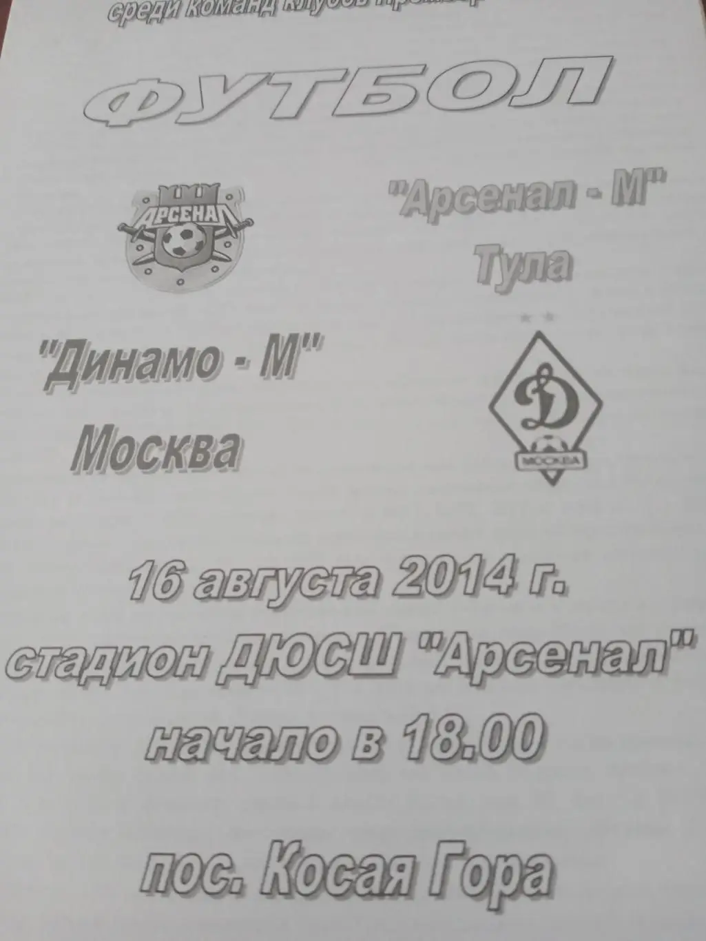 Молодёжное первенство. Арсенал-М Тула - Динамо-М Москва. 16.08.2014 г.