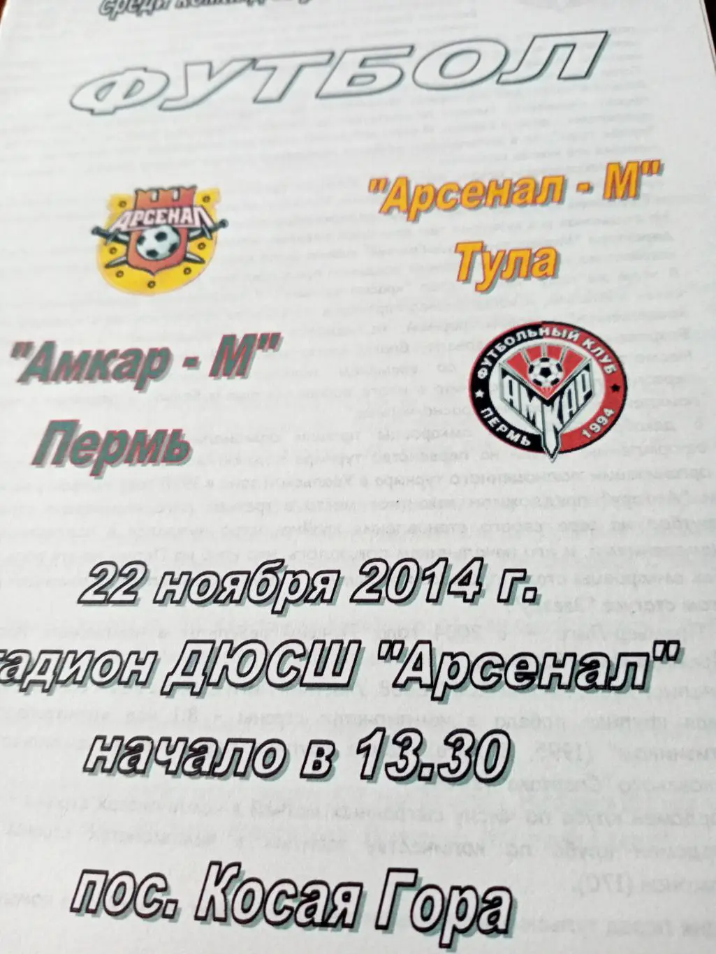 Молодежное первенство. Арсенал-М Тула - Амкар-М Пермь. 22.11.2014 г