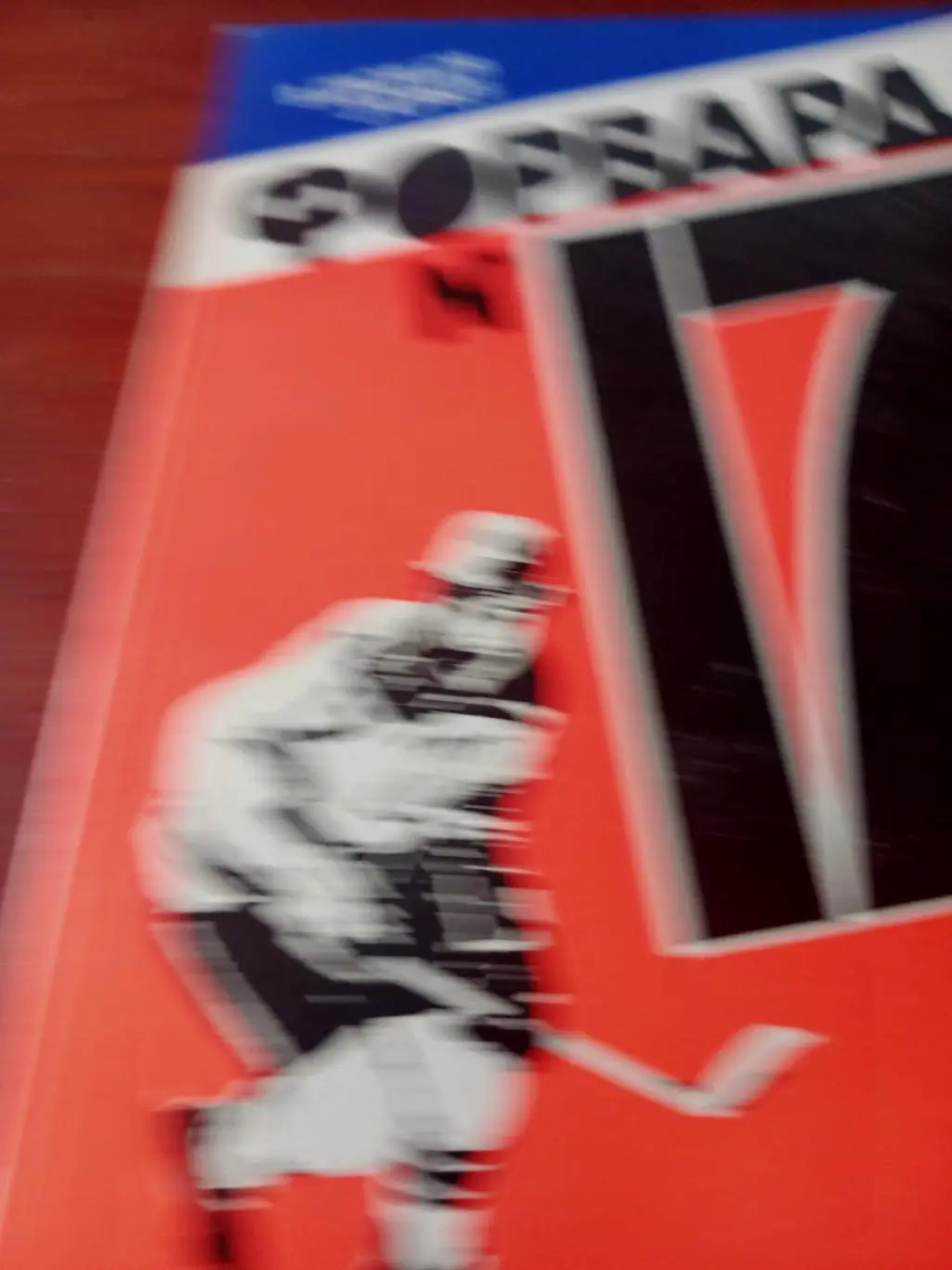 В.Дворцов, З.Юрьев. Форвард №17