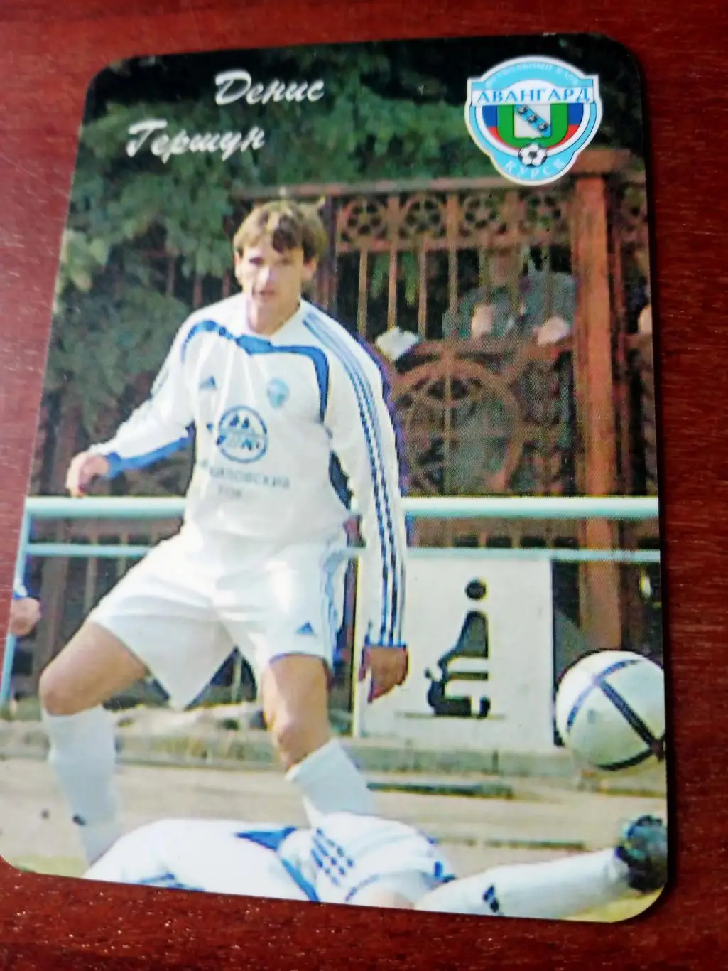 ФК Авангард Курск. Денис Гершун. 2006 год