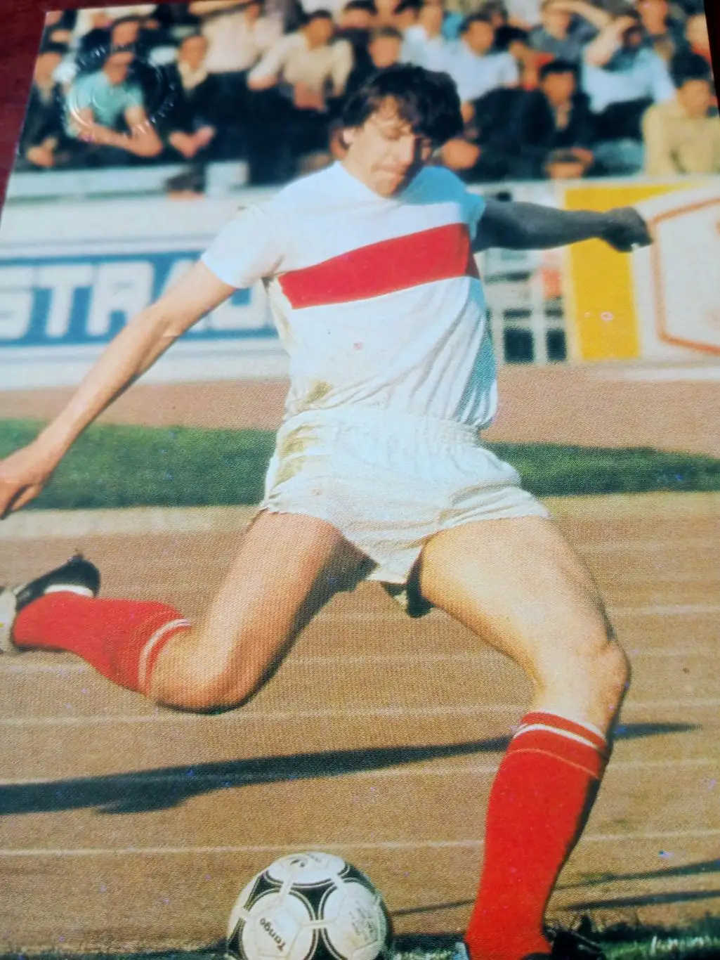 Владимир Сочнов