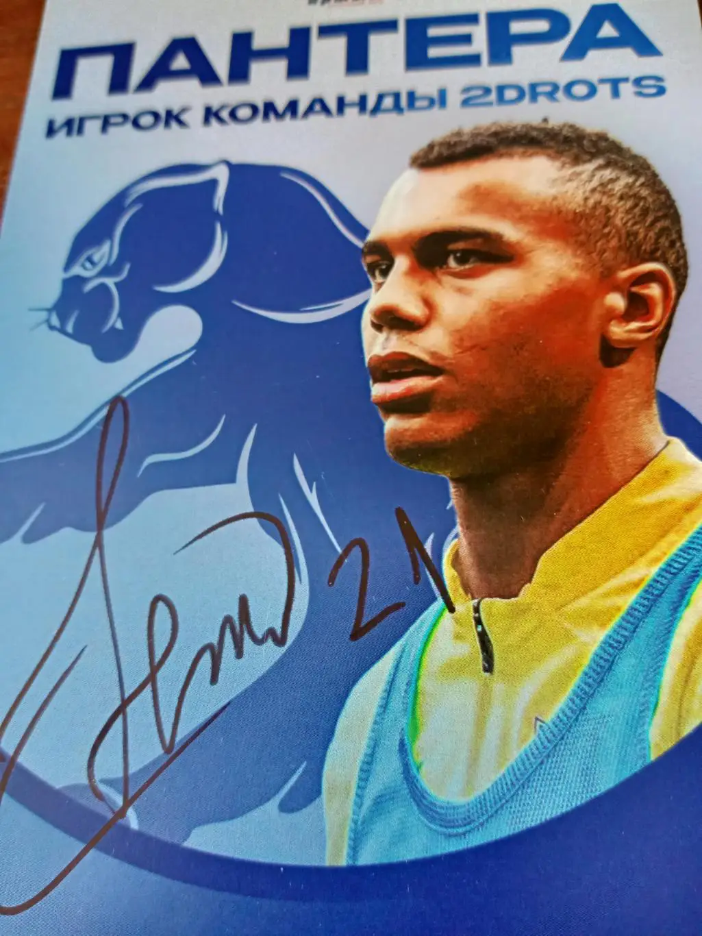 Пантера. Игрок команды 2DROTS