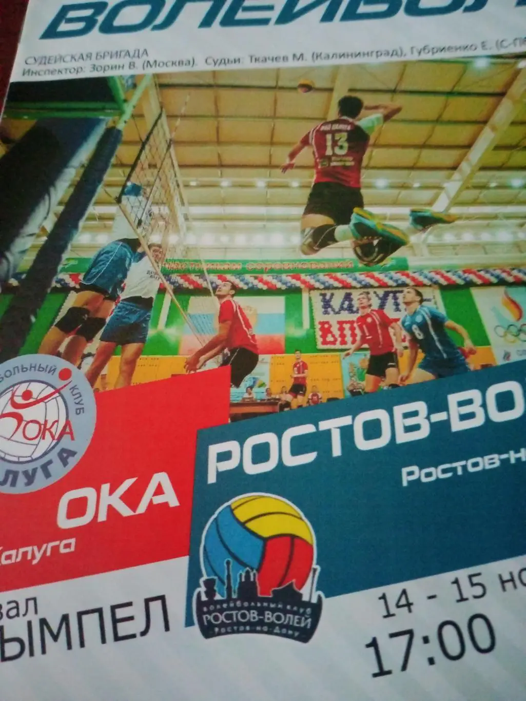 Ока Калуга - Ростов-Волей. 14 и 15 ноября 2015 год