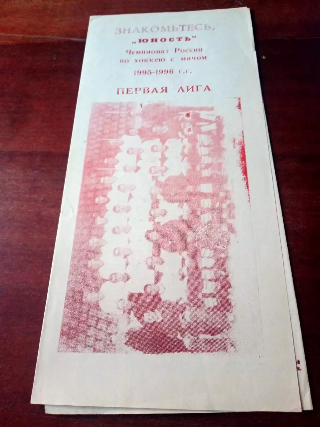 Хоккей с мячом. Омск - 1995/1996