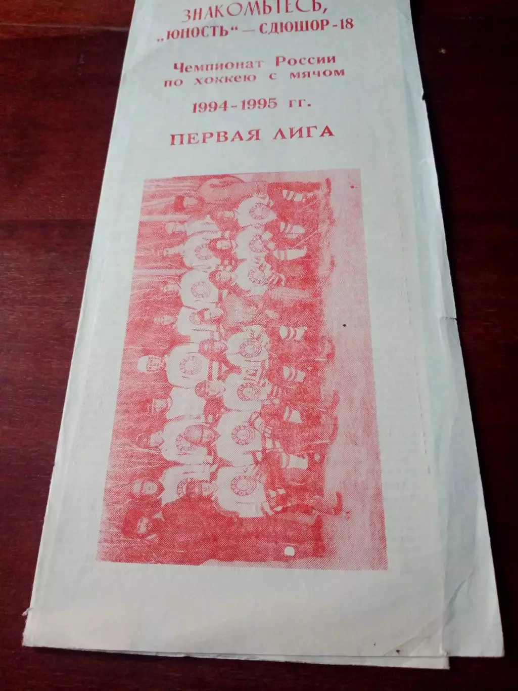 Хоккей с мячом. Омск - 1994/1995