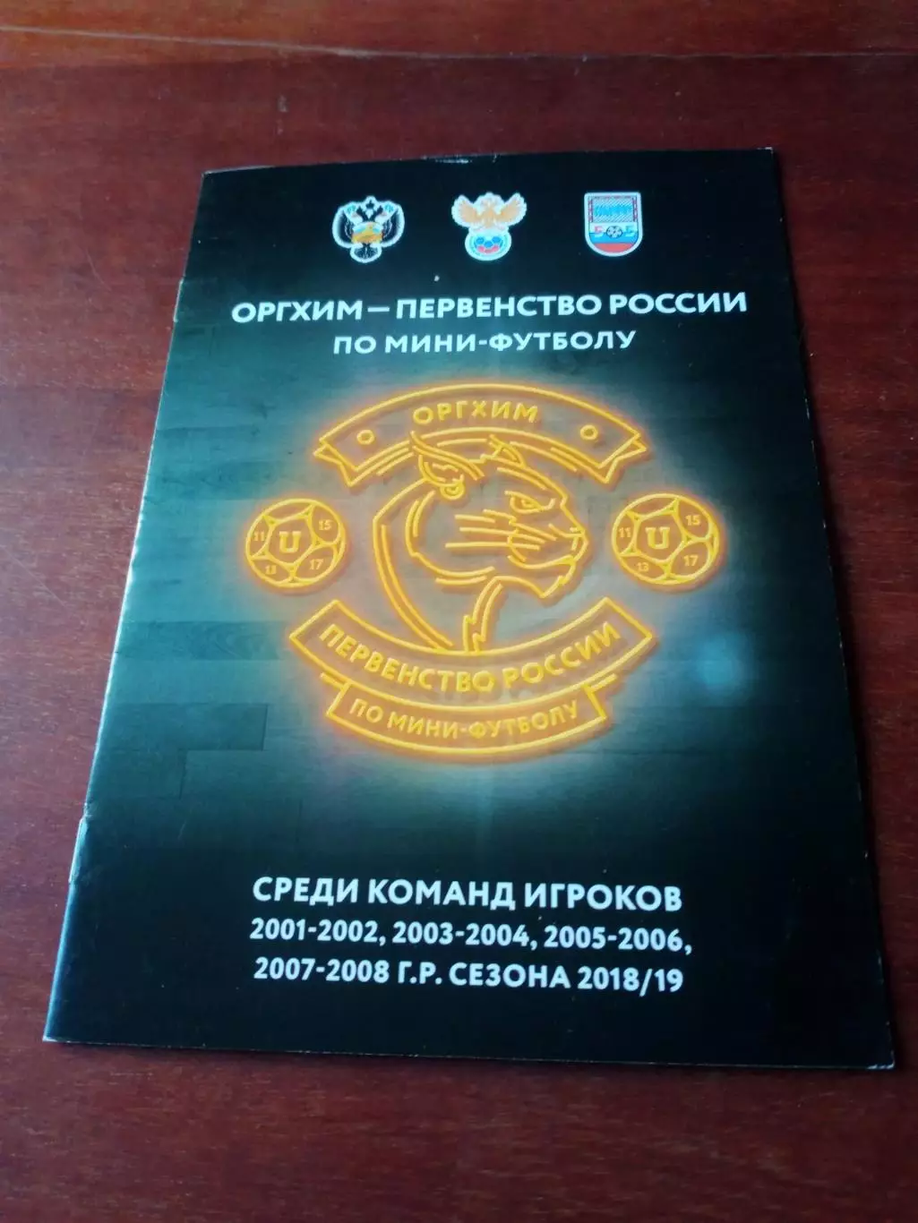 Сезон-2018/1=2019, для игроков 2001 - 2008 гг.р - мини-футбол