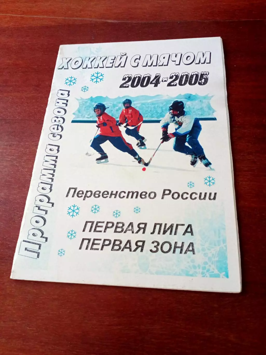 Хоккей с мячом. Боровичи. 2004/2005