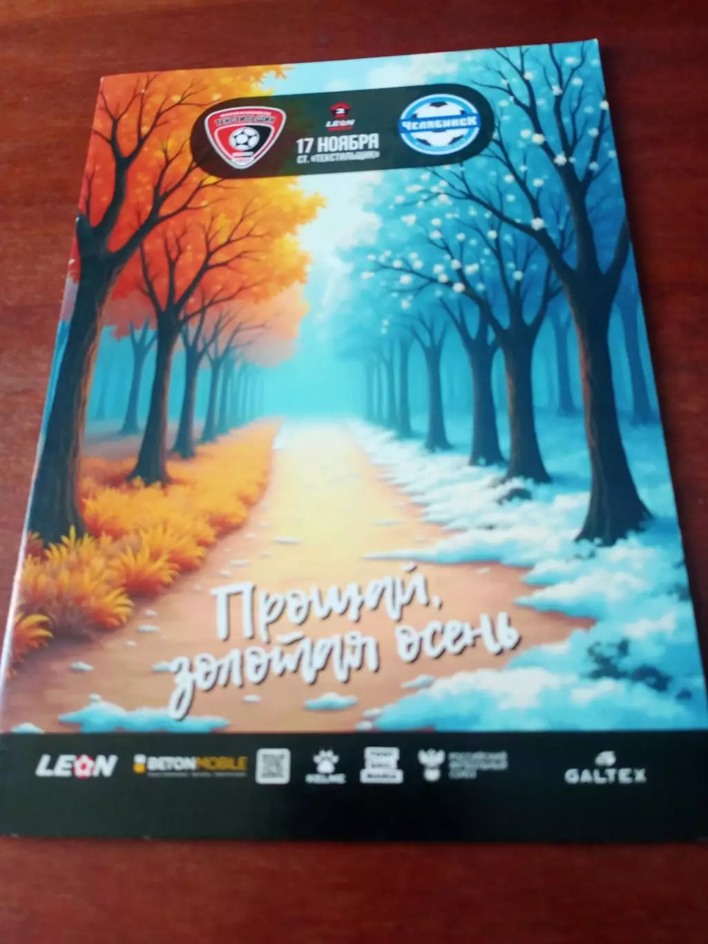 Текстильщик Иваново - ФК Челябинск. 17 ноября 2024 год