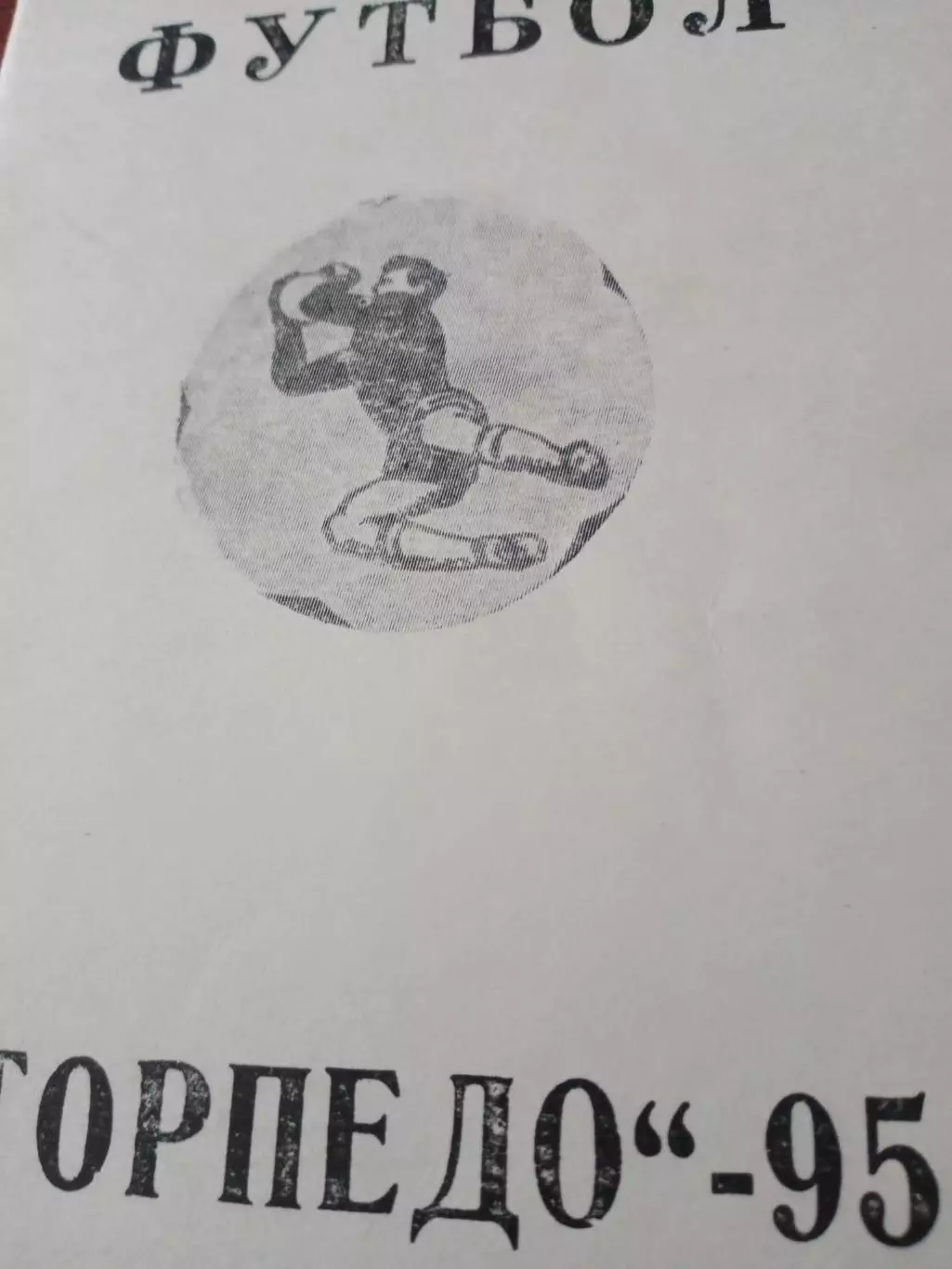 Футбол. Торпедо Павлово-на-Оке. 1995 год