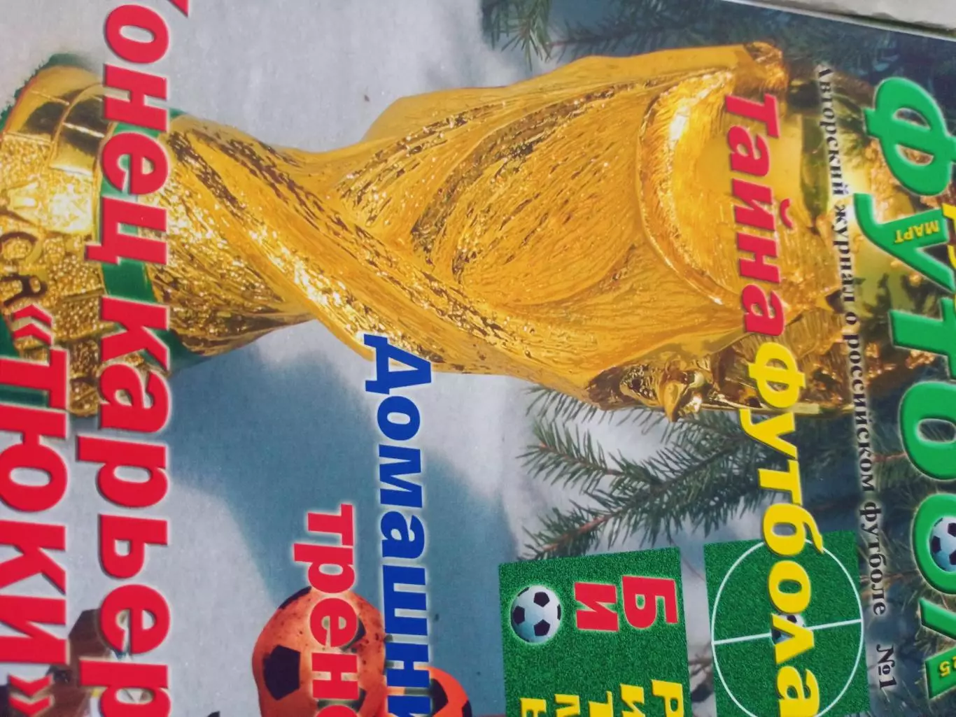 Домашний тренер. Авторский журнал о российском футболе. Автор В.Назаров