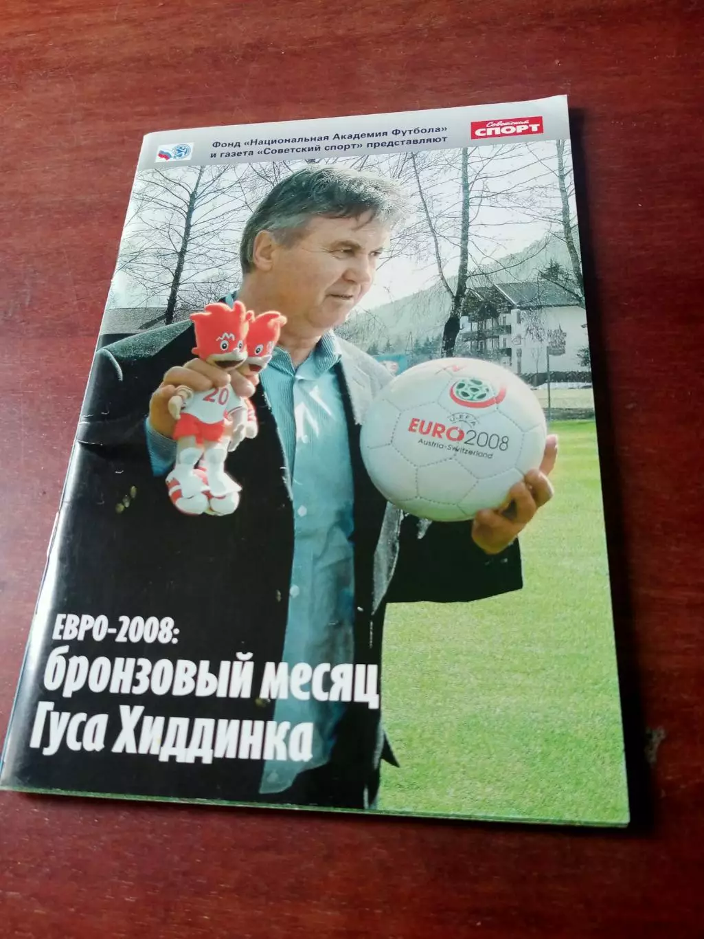 Бронзовый месяц Гуса Хиддинка. ЕВРО-2008