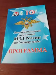 Чемпионат по боевому самбо. Ижевск. 2016 год