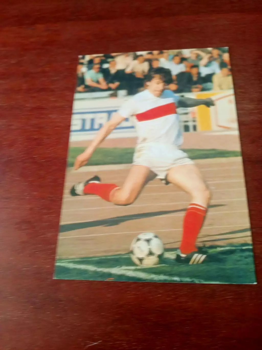 Владимир Сочнов.