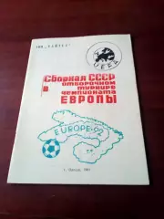 АКЦИЯ. Сборная СССР в отборочном турнире чемпионата Европы. 1991 год