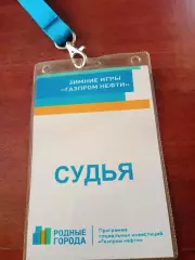 Аккредитация. Судья по хоккею. Зимние игры Газпром Нефти