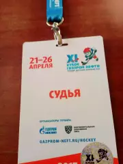Аккредитация - Судья. Турнир детских команд КХЛ. 21 - 26 апреля 2017 год