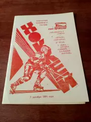 АКЦИЯ. Авангард-2 Омск - Ермак Ангарск. 3 декабря 1994 год.