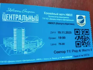 Билет. МХК Калуга - Арктика Мурманск. 19 ноября 2025 год