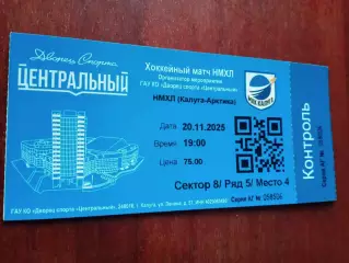 Билет. МХК Калуга - Арктика Мурманск. 20 ноября 2025 год