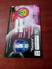 Билет. ФК Калуга - Локомотив Лиски. 18 июля 2014 год