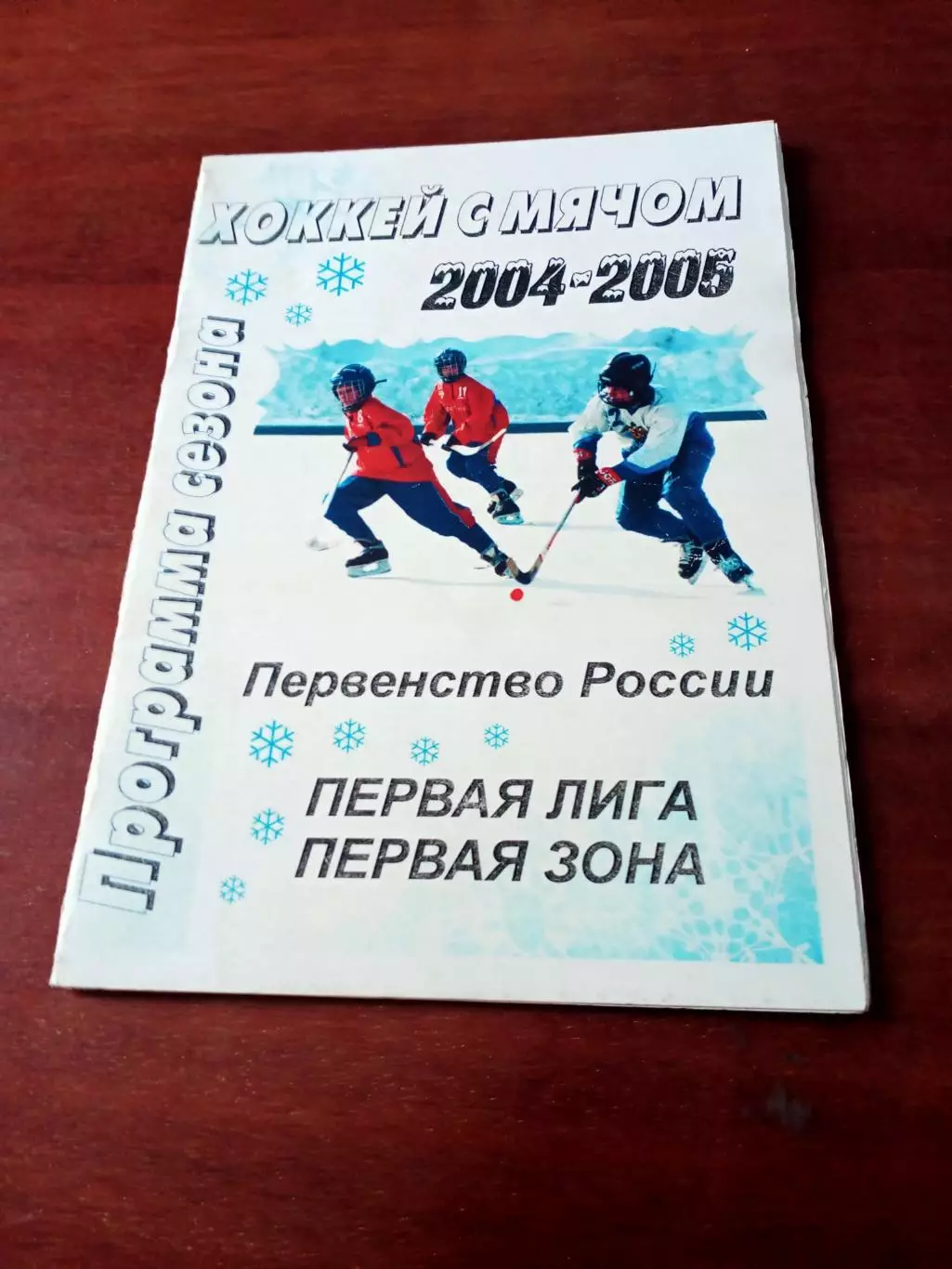 Хоккей с мячом. Боровичи. 2004/2005.