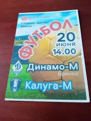 Динамо-М Брянск - Калуга-М. 20 июня 2022 год.