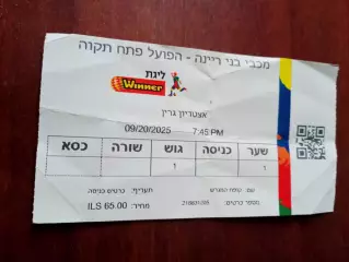 Билет. Футбольный чемпионат