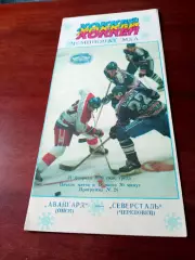 Авангард Омск - Северсталь Череповец. 21 февраля 1996 год - АКЦИЯ