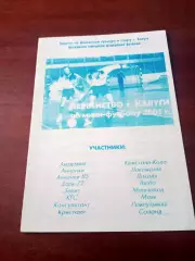 Мини-футбол. Первенство Калуги. 2001 г