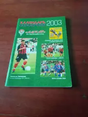 Футбол. Пермь. 2003 год