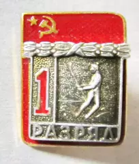 Хоккей с мячом. 1й разряд.