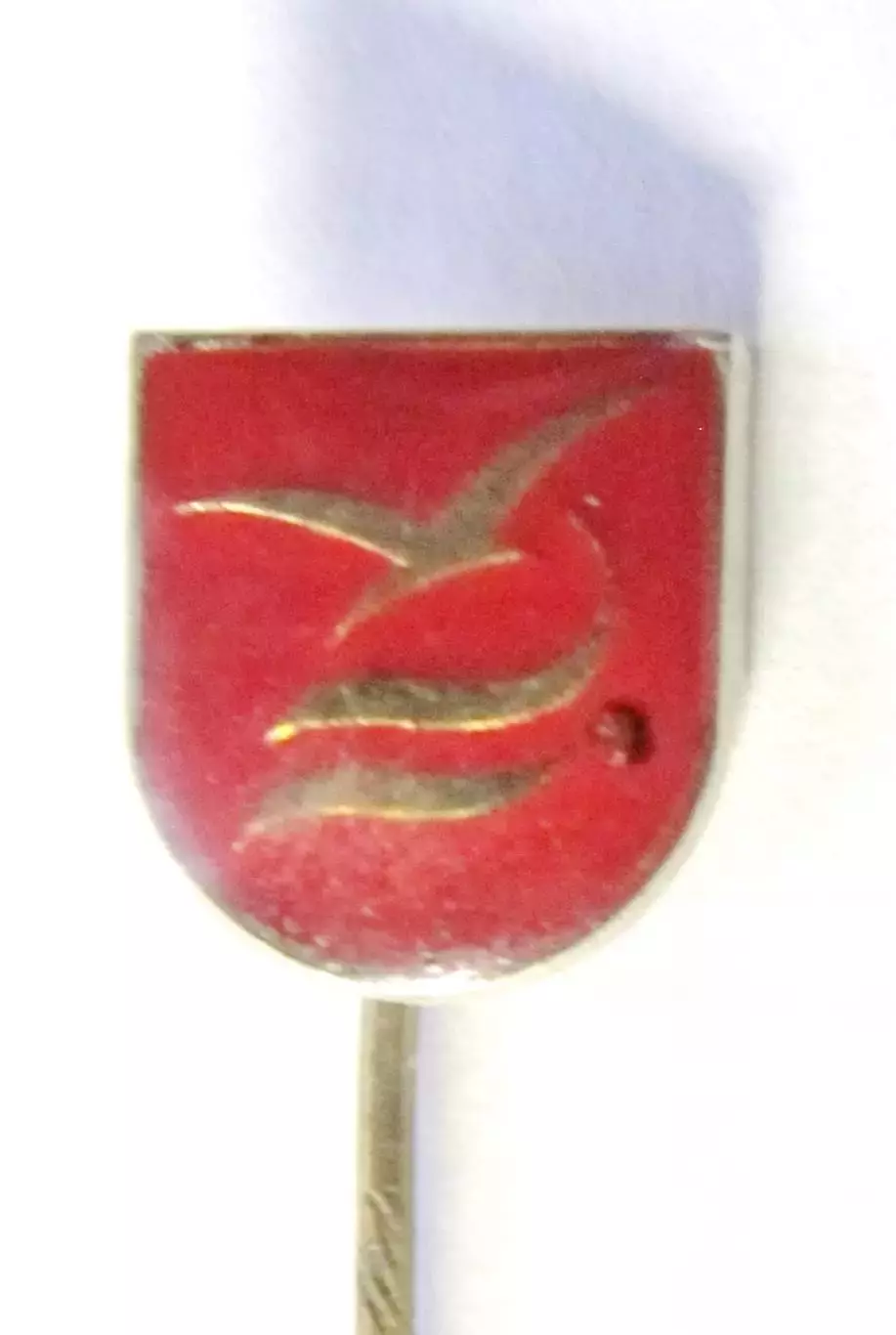 ДСО Буревестник