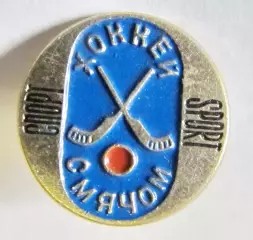 Хоккей с мячом