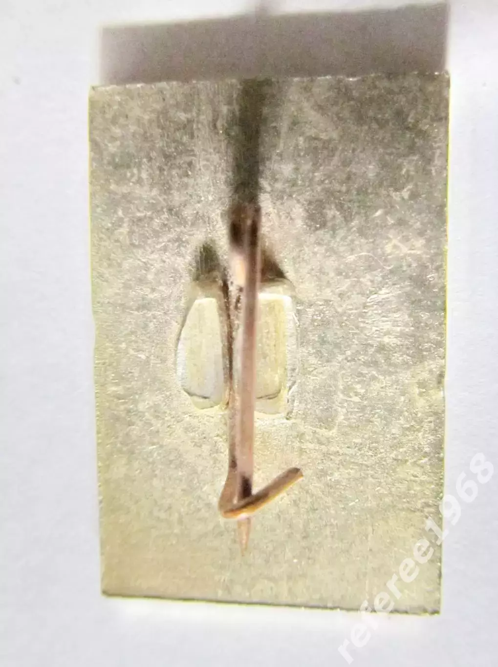 Лужники большая арена 1