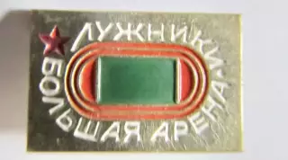 Лужники большая арена