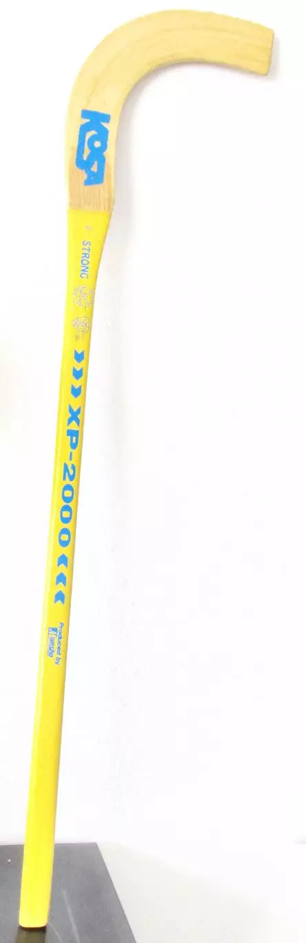 Последняя клюшка омской Юности 1