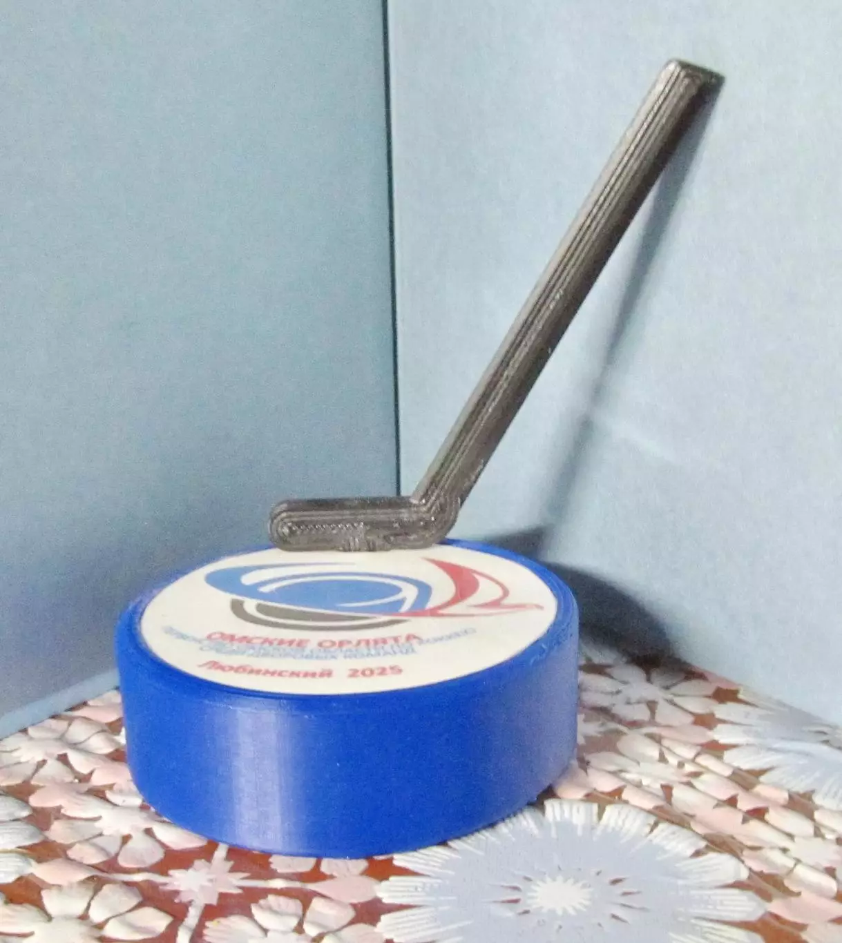 Омские орлята. П-во Омской обл. по хоккею среди дворовых команд, 2025 г.