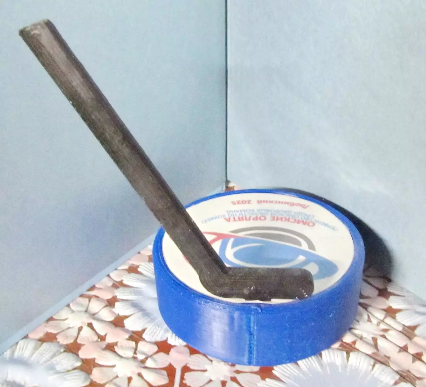 Омские орлята. П-во Омской обл. по хоккею среди дворовых команд, 2025 г. 2