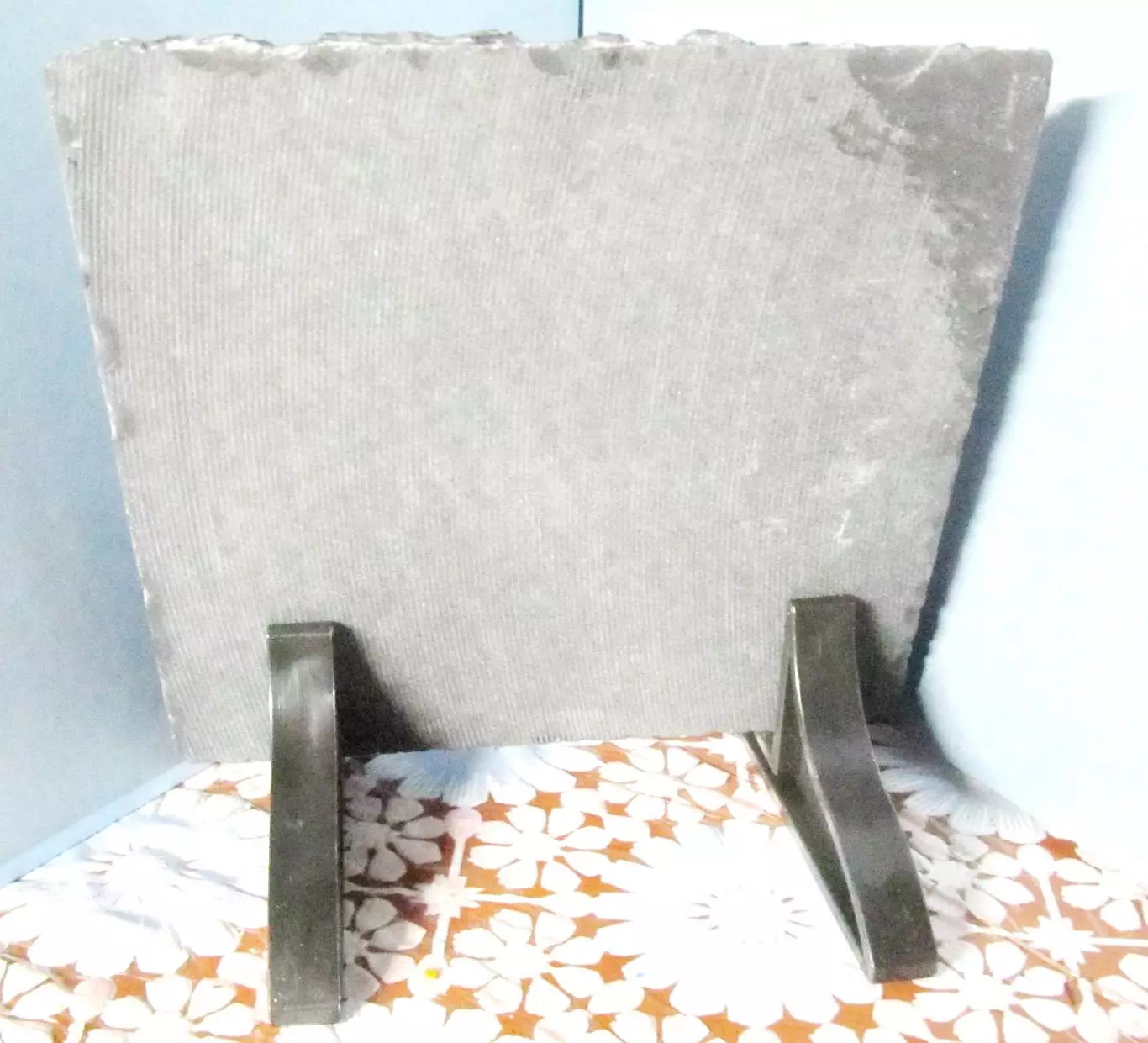 Омские орлята, п-во Омской обл. по хоккею среди дворовых команд, 2025 г. 2