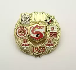 Официальный значок к 100 федерации хоккея Польши .