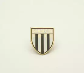 ФК Сандецья Новы-Сонч Польша